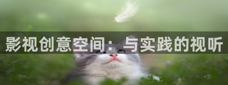 理論午夜片