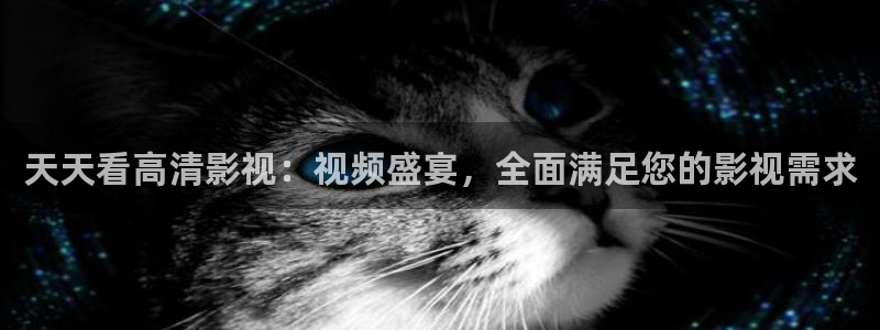 2023最新理論電影